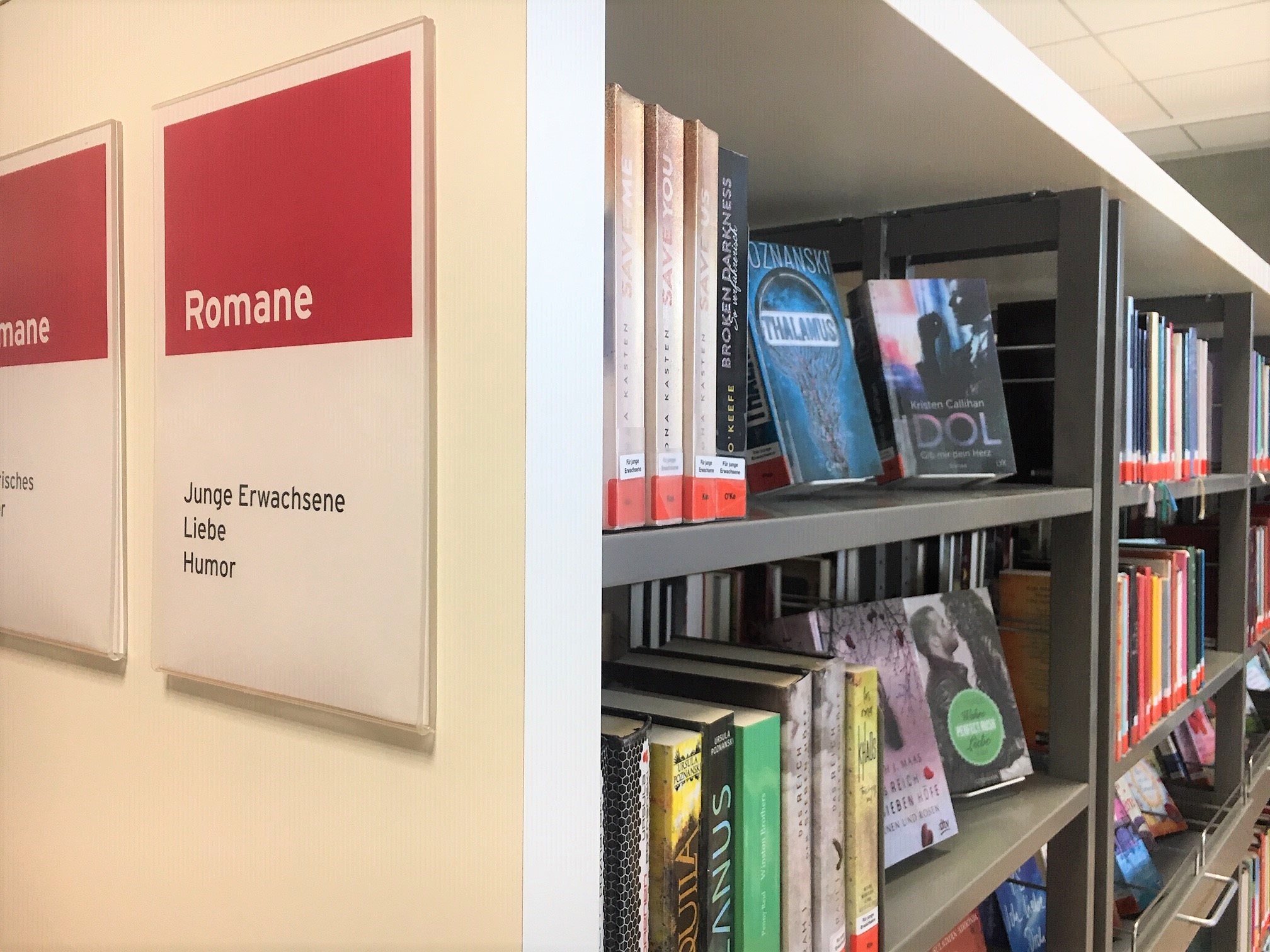 Bild Regal Junge Erwachsene 2
